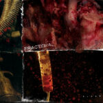 Fractional – Blood – CD